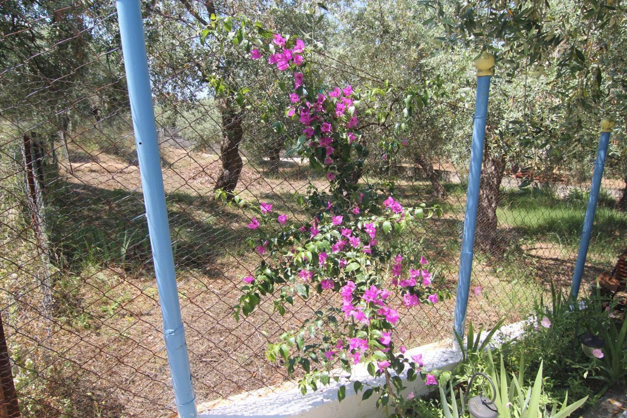 Joanna'S House Villa Skala Kallirachis Exterior photo